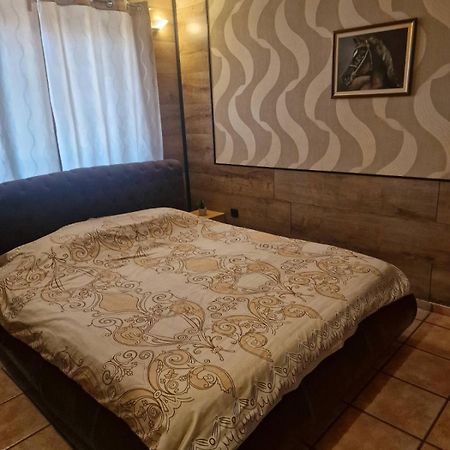 Guest House Maja Novi Sad Exterior foto